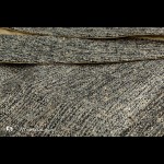 Серо-бежевые шторы из натурального фактурного шелка с подшторниками из органзы и подхватами
